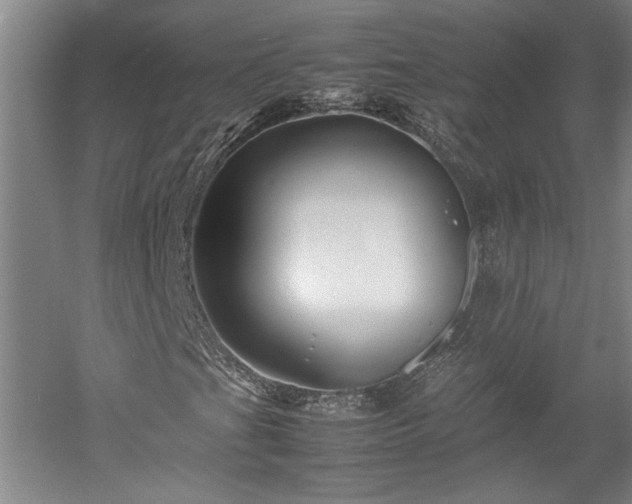 X0000052991201200507151846