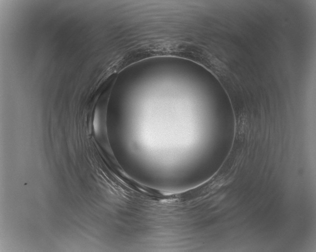 X0000052991202200507151846