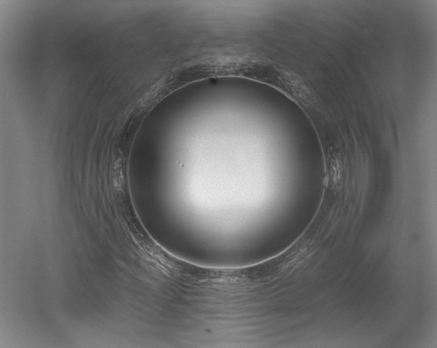 X0000052991204200507151846