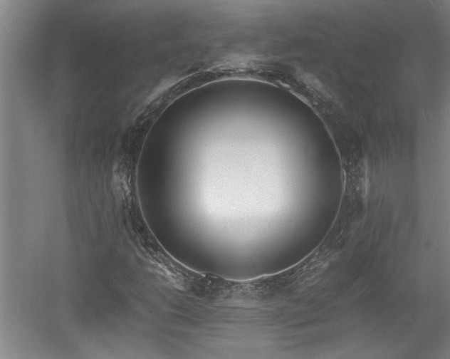 X0000052991206200507151846