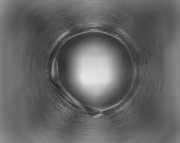 X0000052991210200507151846