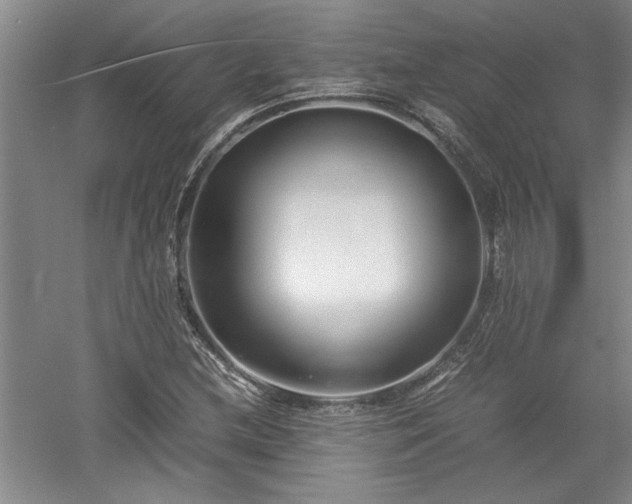 X0000052991212200507151846