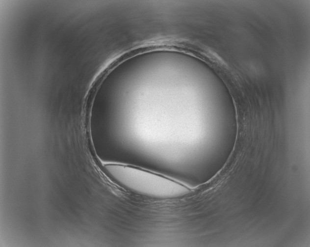 X0000052991216200507151846