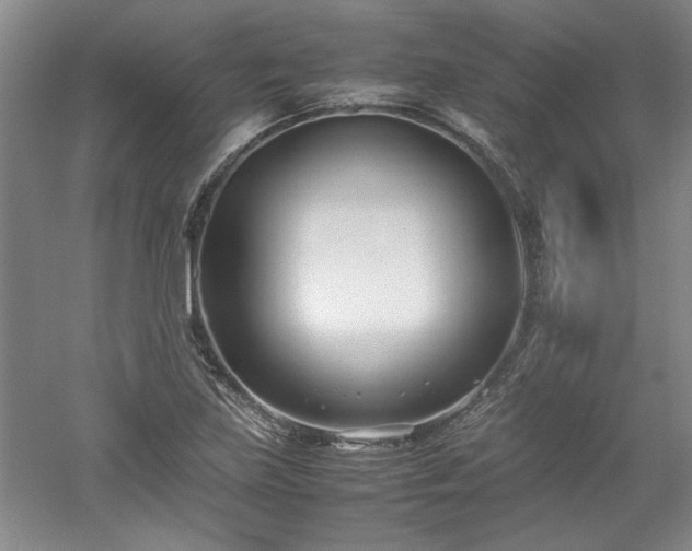 X0000052991219200507151846