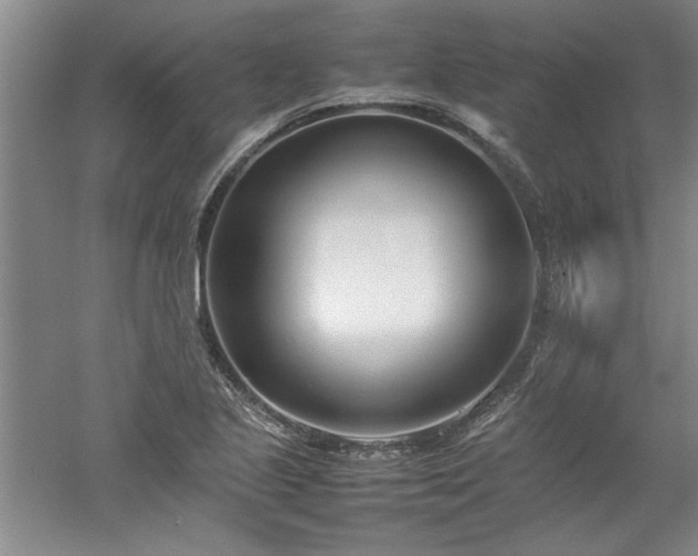 X0000052991221200507151846