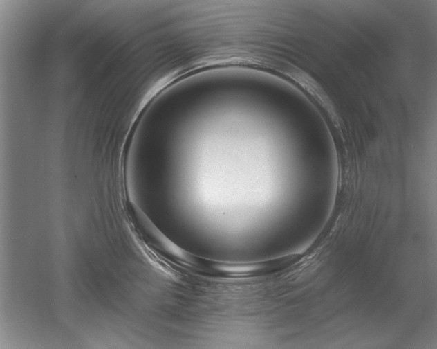 X0000052991242200507151847