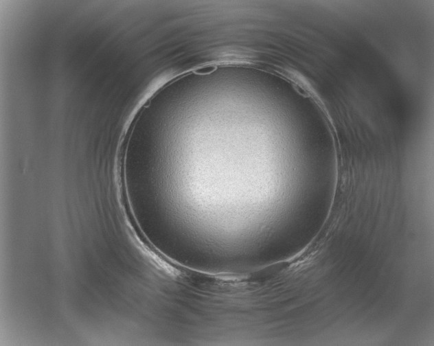 X0000052991243200507151847