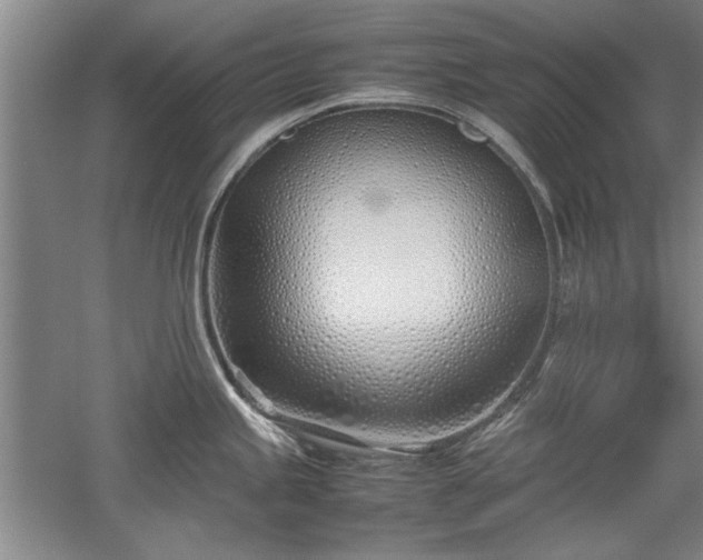 X0000052991245200507151847