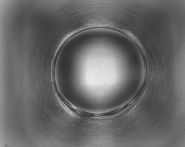 X0000052991246200507151847