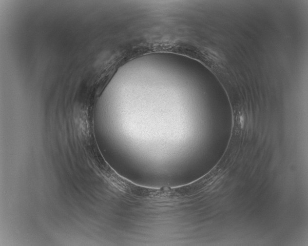 X0000052991252200507151846