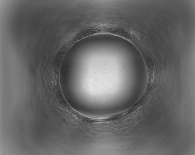 X0000052991253200507151846
