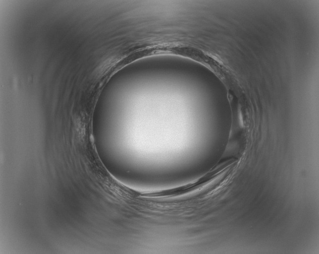X0000052991257200507151846