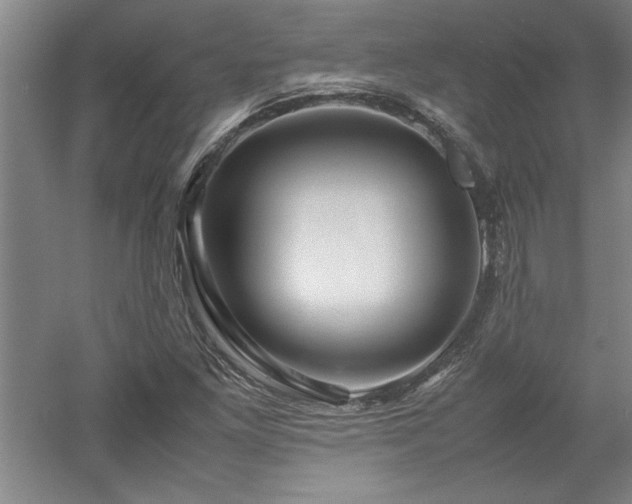X0000052991261200507151846