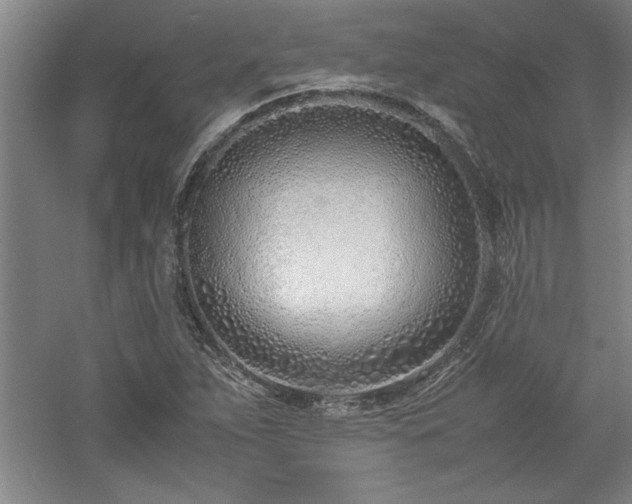 X0000052991263200507151846