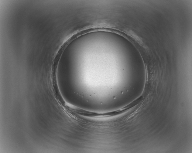 X0000052991264200507151846