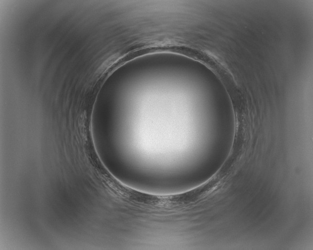 X0000052991265200507151846