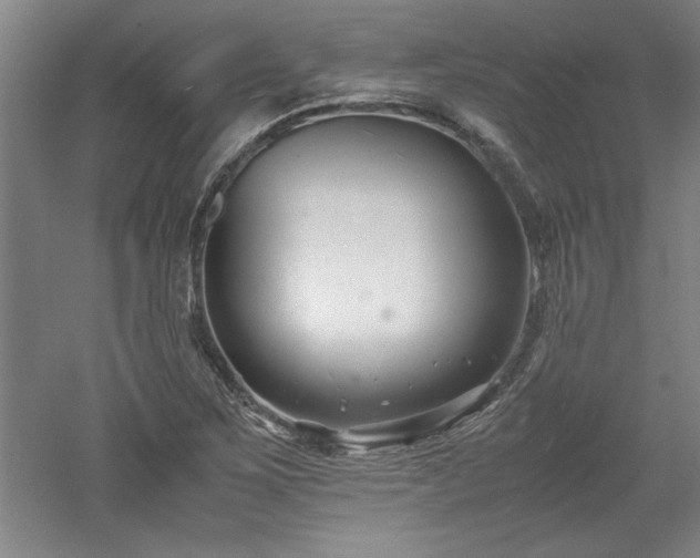 X0000052991267200507151846