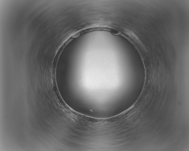X0000052991268200507151846