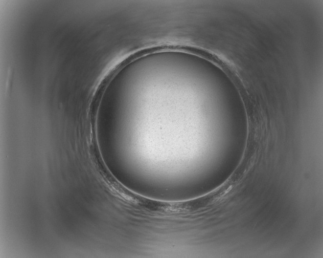 X0000052991271200507151845