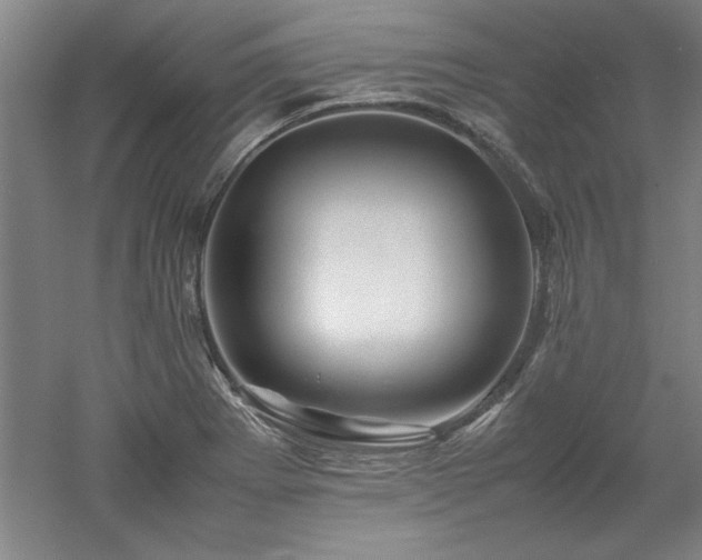 X0000052991273200507151845