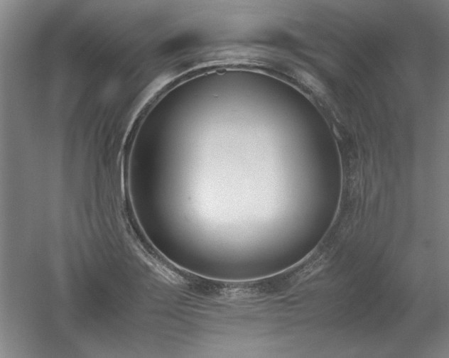 X0000052991275200507151845