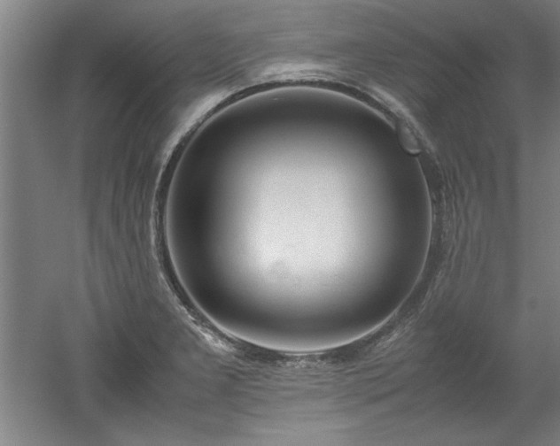 X0000052991277200507151845
