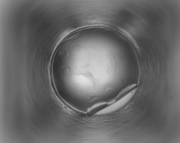 X0000052991291200507151845