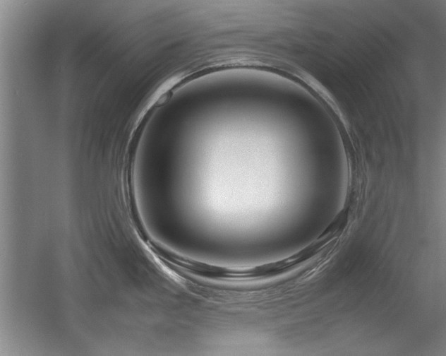 X0000052991293200507151845