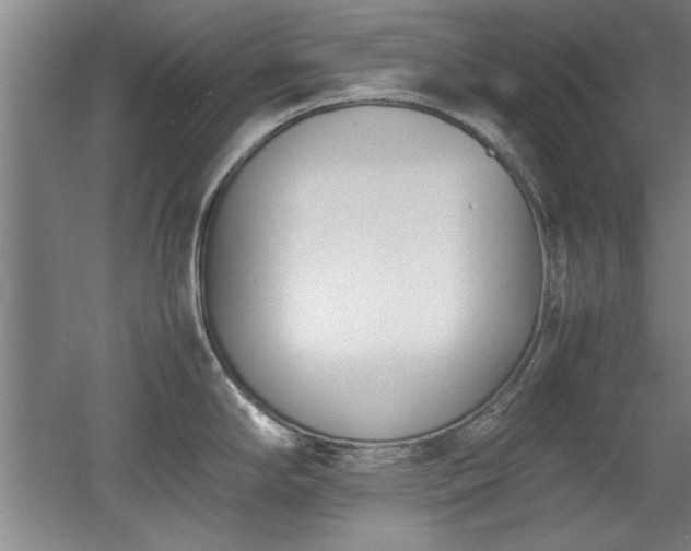 X0000052991294200507151845
