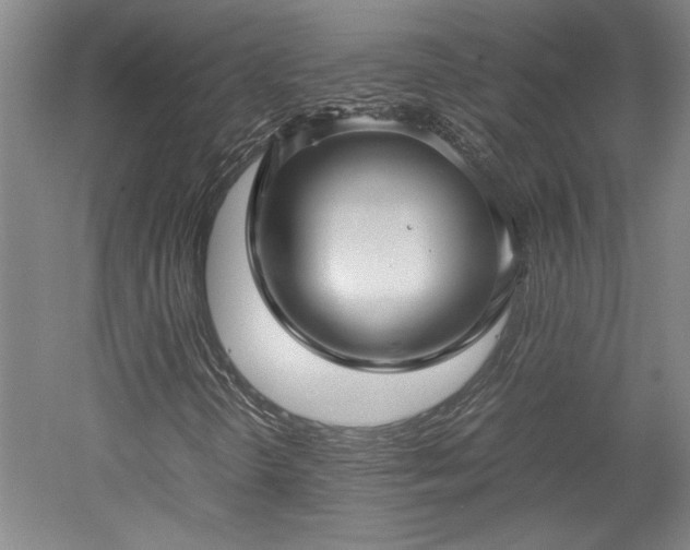 X0000052991298200507151844