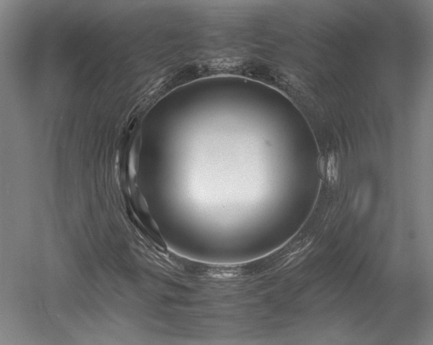 X0000052991299200507151844