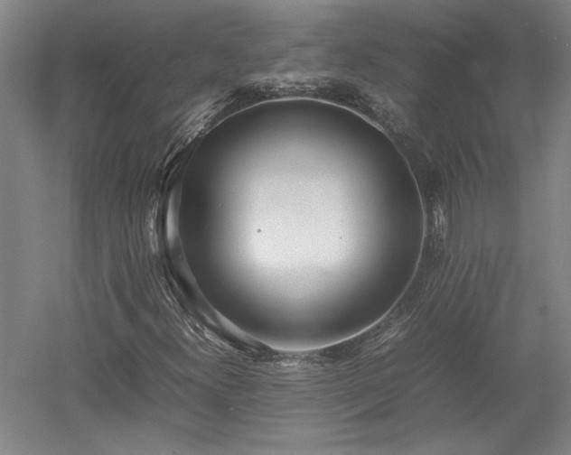 X0000052991300200507151844