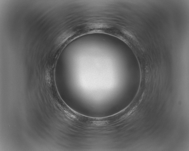 X0000052991305200507151844