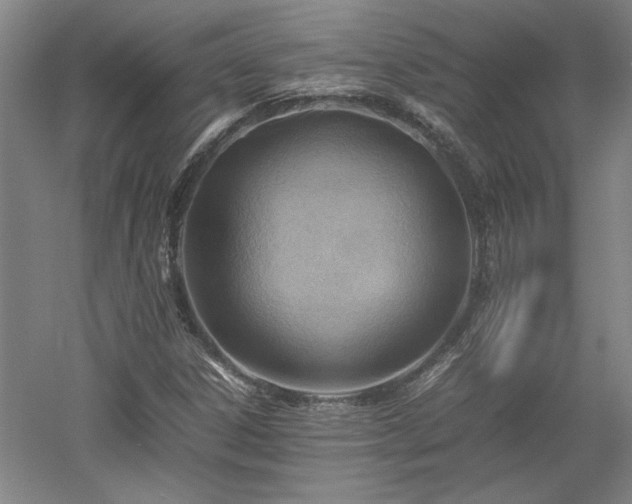 X0000052991306200507151844