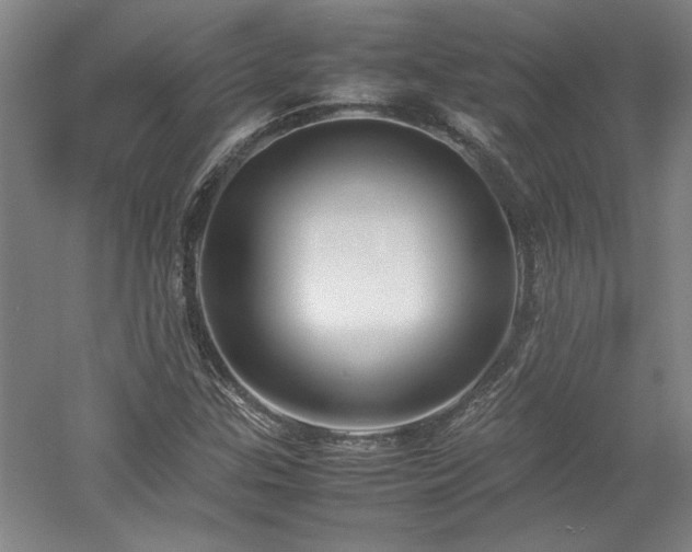 X0000052991307200507151844