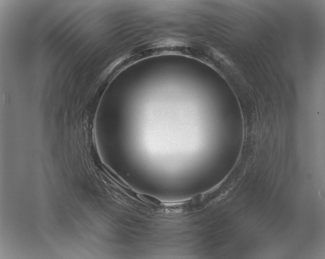 X0000052991313200507151844
