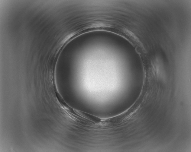 X0000052991321200507151845