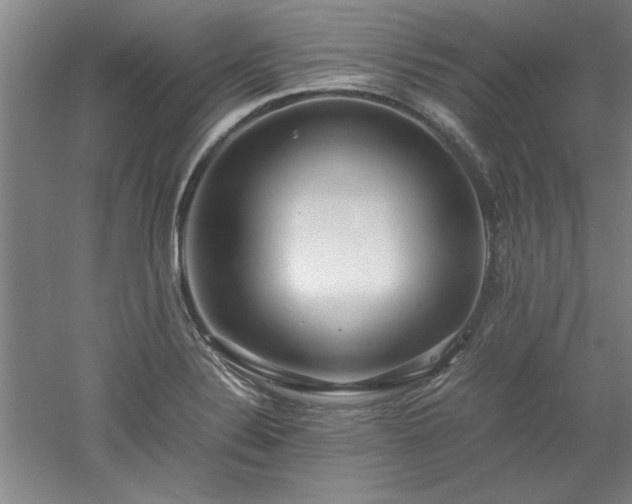 X0000052991324200507151845