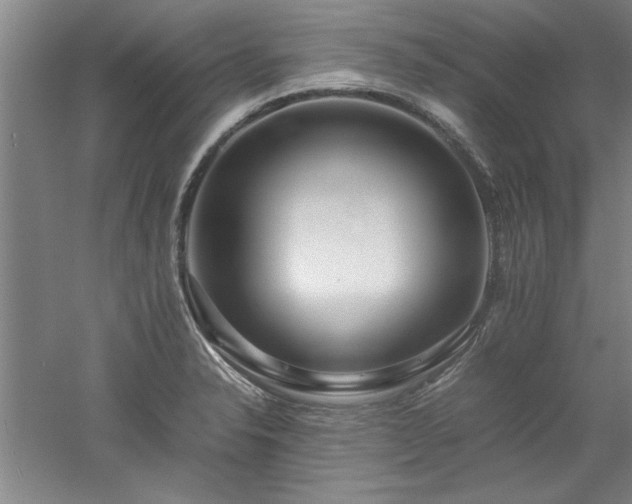 X0000052991326200507151845