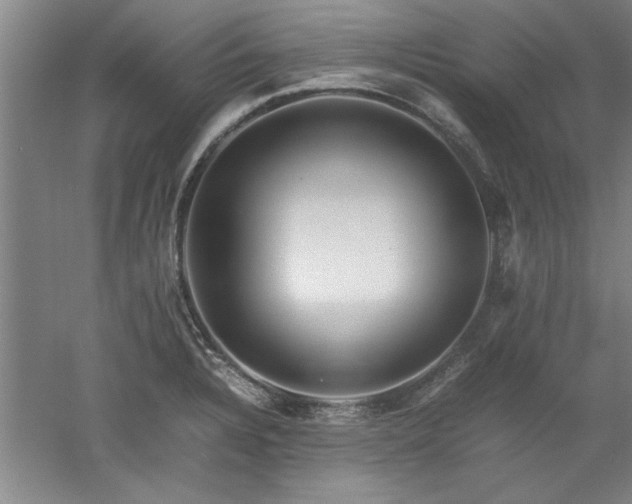 X0000052991328200507151845