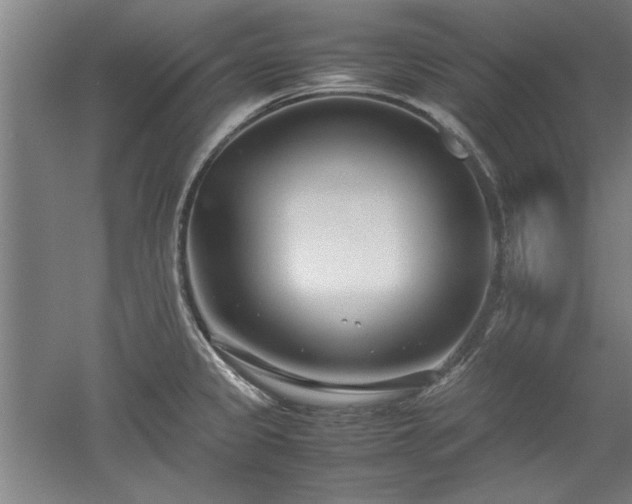 X0000052991333200507151845