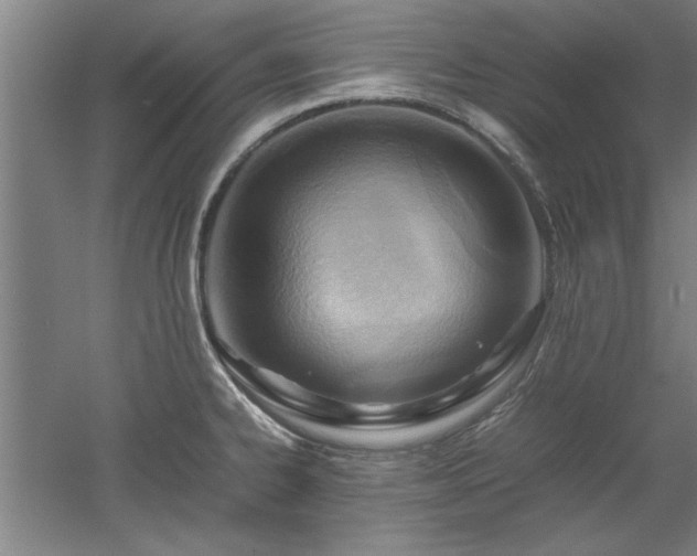 X0000052991334200507151845