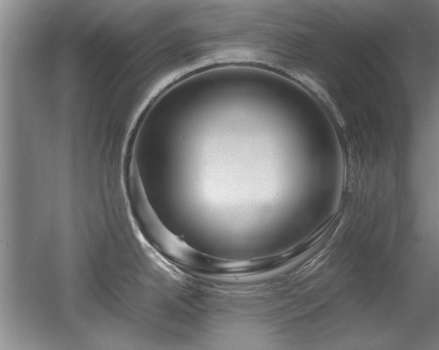 X0000052991342200507151845