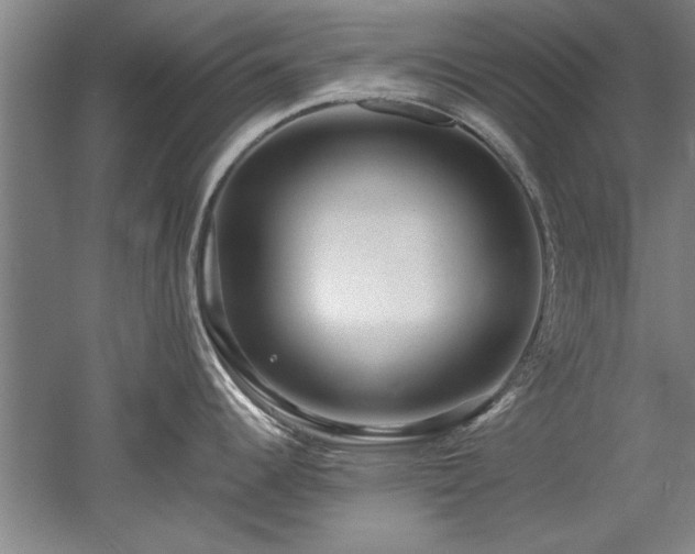 X0000052991344200507151845
