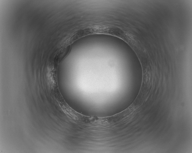 X0000052991346200507151844