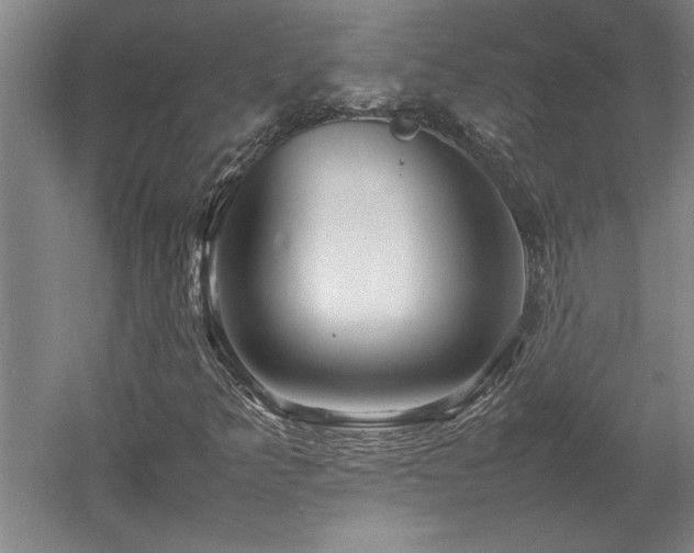 X0000052991349200507151844