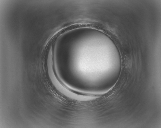 X0000052991352200507151844