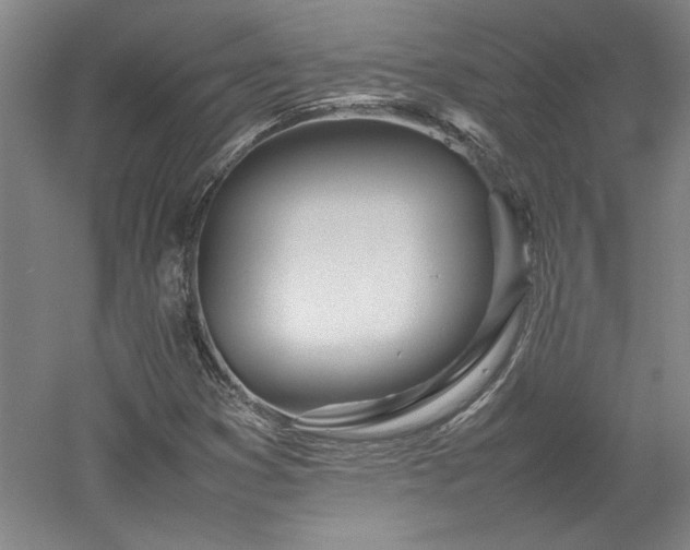 X0000052991353200507151844