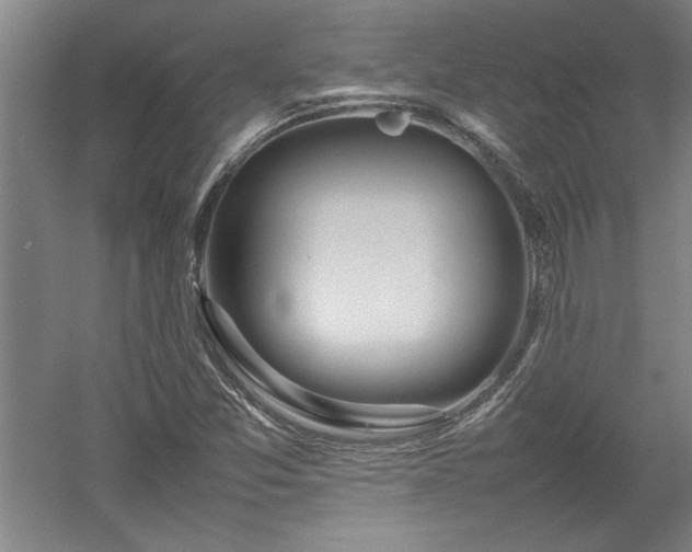 X0000052991357200507151844