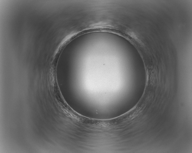 X0000052991358200507151844